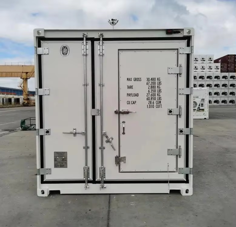 professional cold chain refrigerated container 20ft frozen transport constant temperature control
