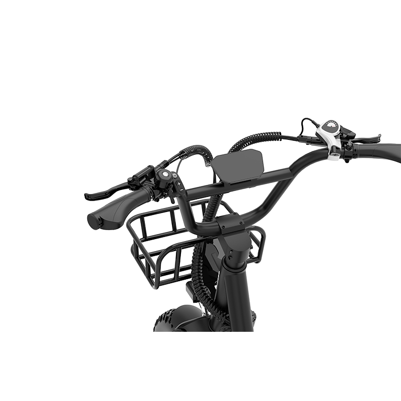 Last Mile Delivery Electric Cargo Bike 750W 48V25Ah Long Range 120km Rear Hub Motor Digital Display Cargo Rack for Unisex
