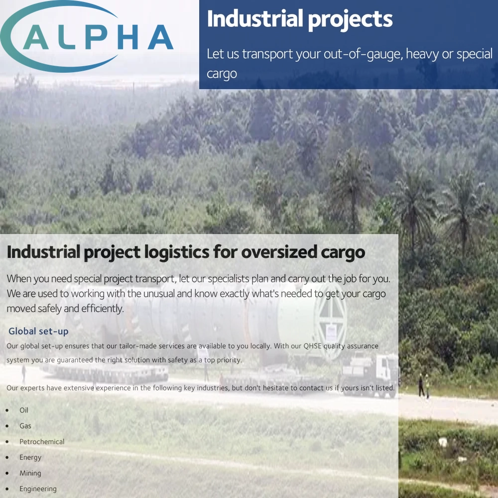 Professional Project Cargo Freight Forwarder for Oversized Dangerous Goods Air Sea Shipping to USA