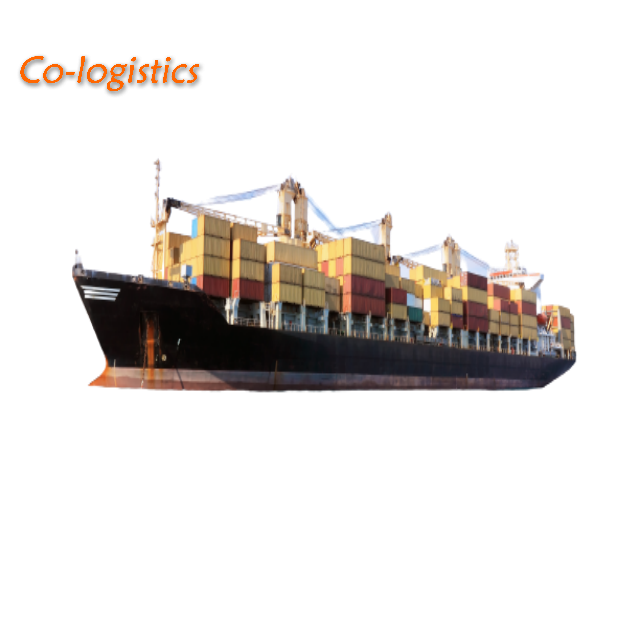 LCL Sea Shipping Reliable Freight Forwarder Fast Shipping From China to All World Port Less Container Loading