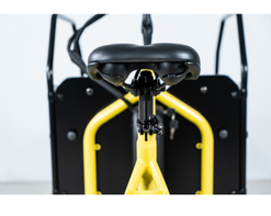 Trike Application Details