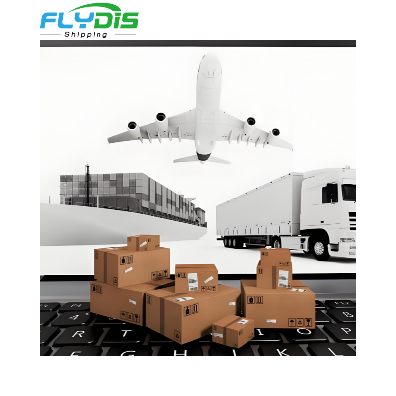 Low Cost Sea Freight From China to Singapore with LCL Less Container Load and Fast Handling Air Sea Freight Shipping Agent