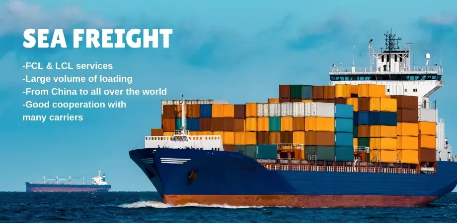 Reefer Container Ocean Logistics