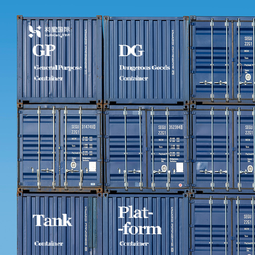 DG Container Freight Forwarder Full Container Load Sea Shipping Agent FCL From China to USA Canada Europe Brazil Global