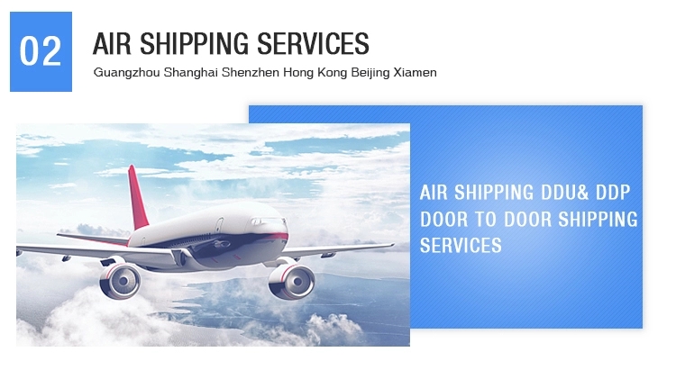 Professional DDP Shipping Agent Freight Forwarder Air Freight Express From China to USA