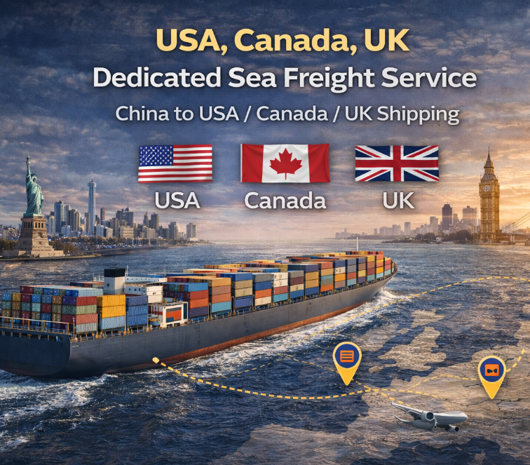 USA UK Canada Special Line Logistics Oversized Cargo Professional Shipping Guaranteed 12-45 Days