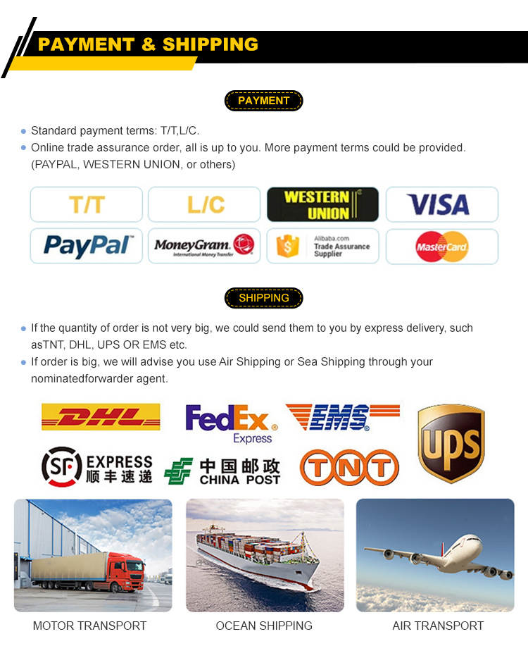 Payment and Shipping