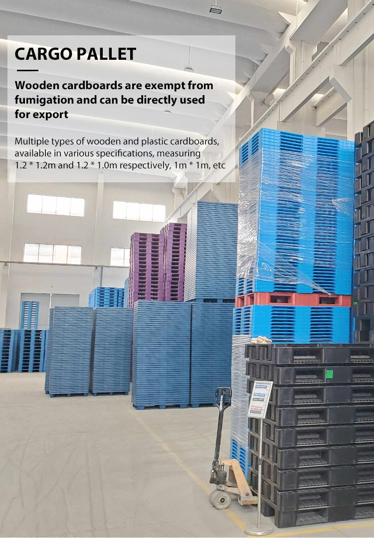 Qingdao Shanghai 20GP 45HQ New Container Reefer Container Food Temperature Regulation Cheap Price