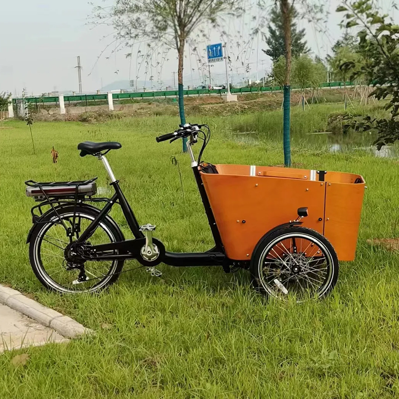 Custom Cargo Bike App 2