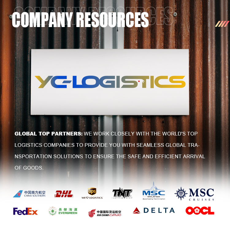 Why Choose Us for Cargo Shipping 1