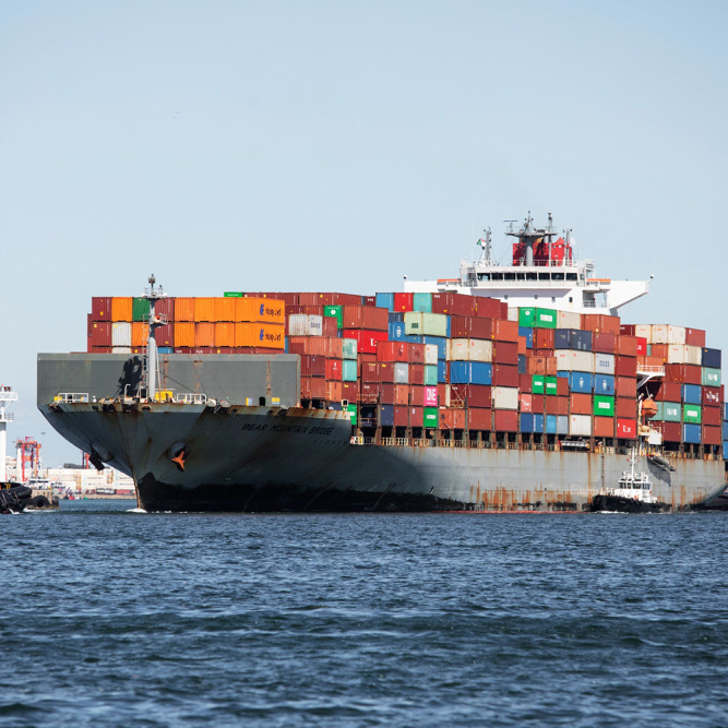 Customs Clearance Advanced Logistics Arrangements From China to USA/Canada: Customs Brokerage, Warehousing Management &amp; Distribution Door to Door