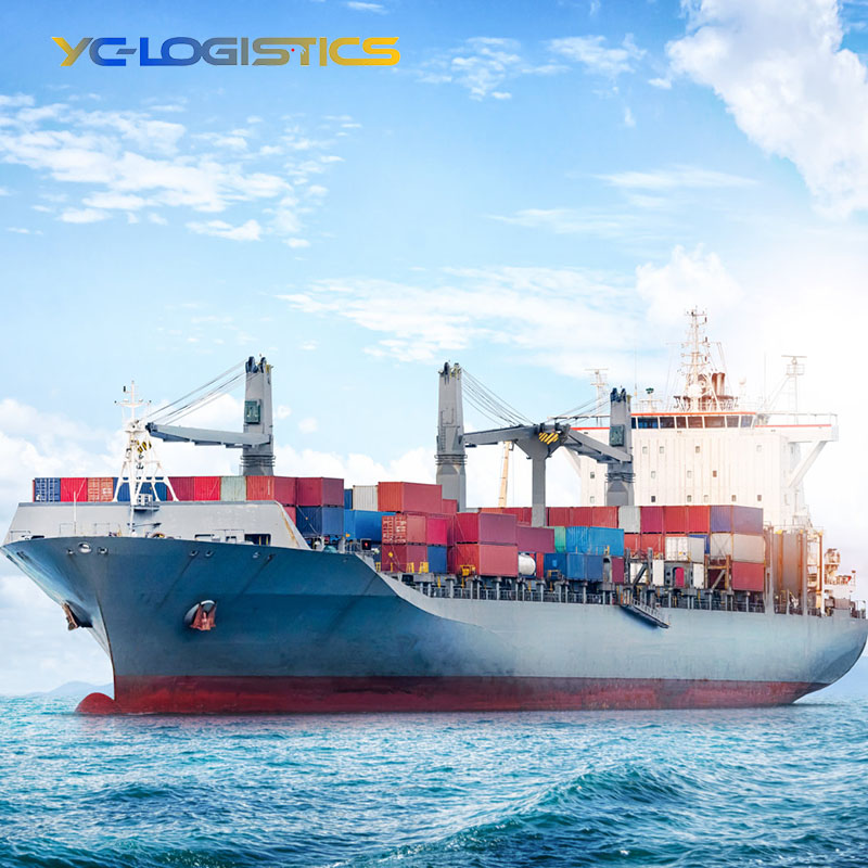 Refrigerated Container Reefer Sea Freight for Perishable Goods From China to USA Ports with Temperature Control
