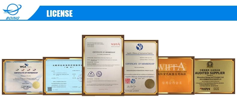 Professional DDP Shipping Agent Freight Forwarder Air Freight Express From China To USA