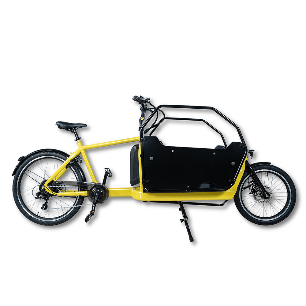 Electric Cargo Trike Side View