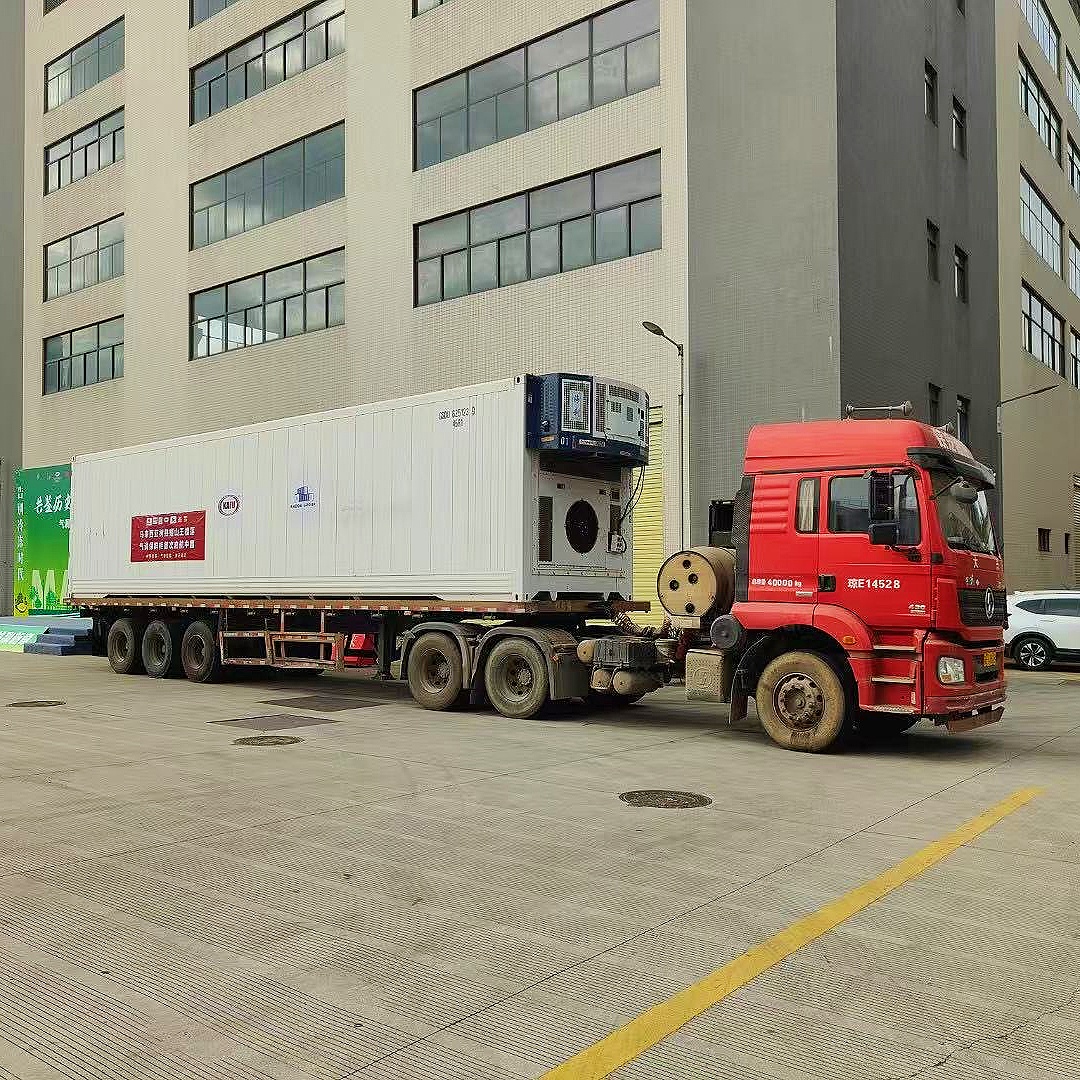 Smart CA Durian Reefer Container for Sea &amp; Land Transport, Precise Temp Humidity Gas Control Extend Shelf Life