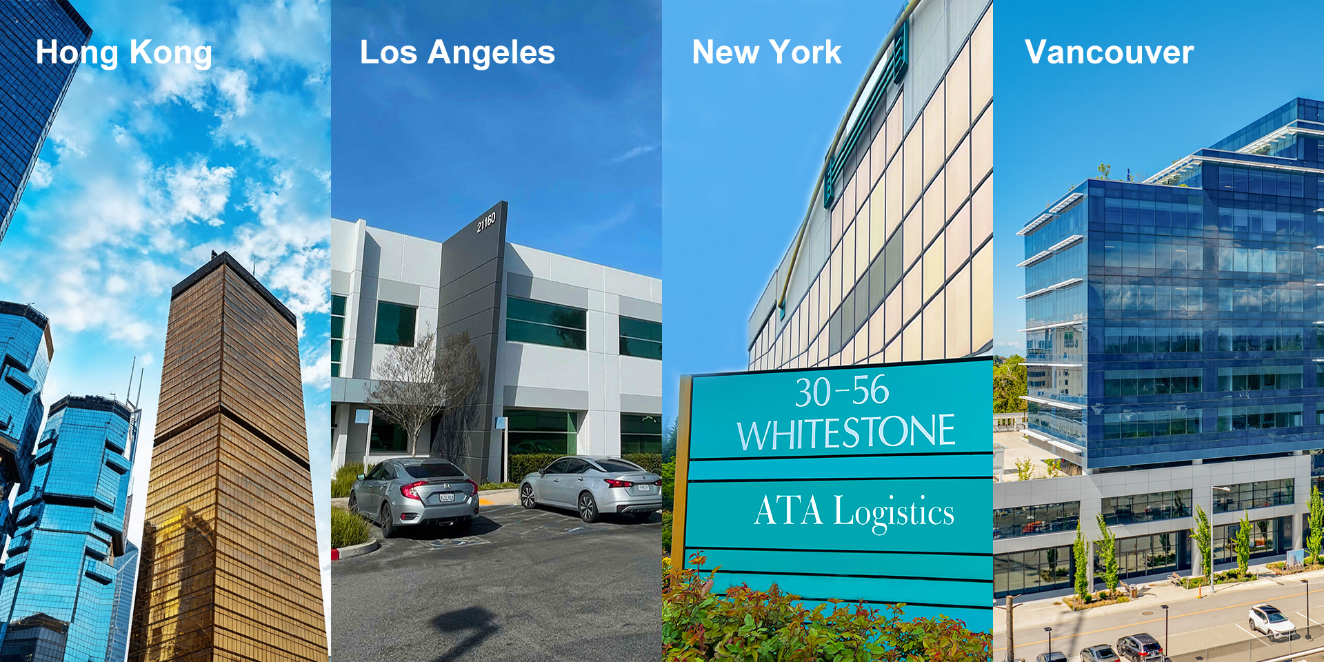 Company Profile