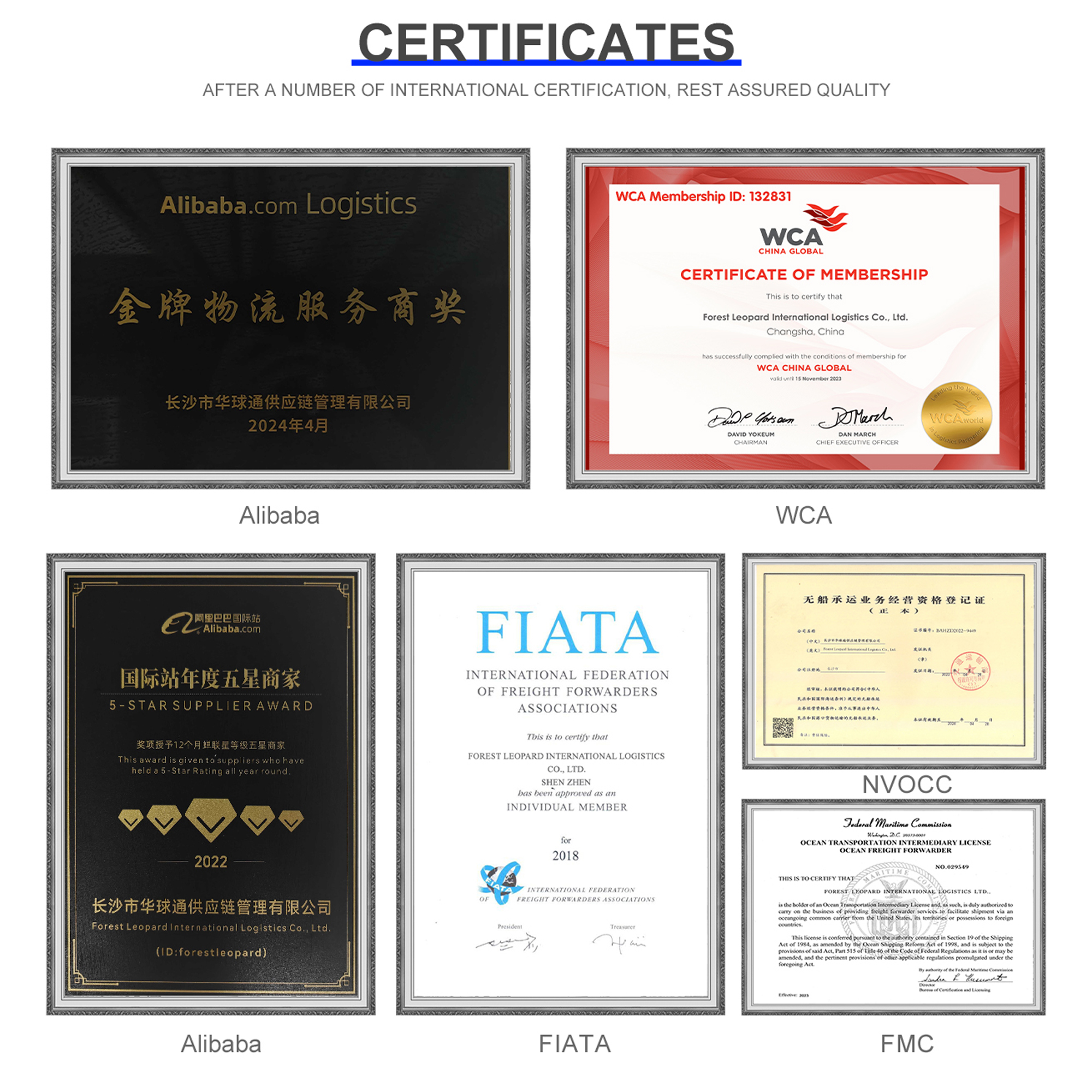 Professional FCL Less Than Container Load (LCL) Freight Forwarding Agent From China to France USA Logistics Agency