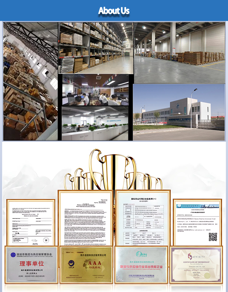 China to Mexico Ocean Shipping Service LCL Less Than Container Load DDP Door to Door Freight Forwarder