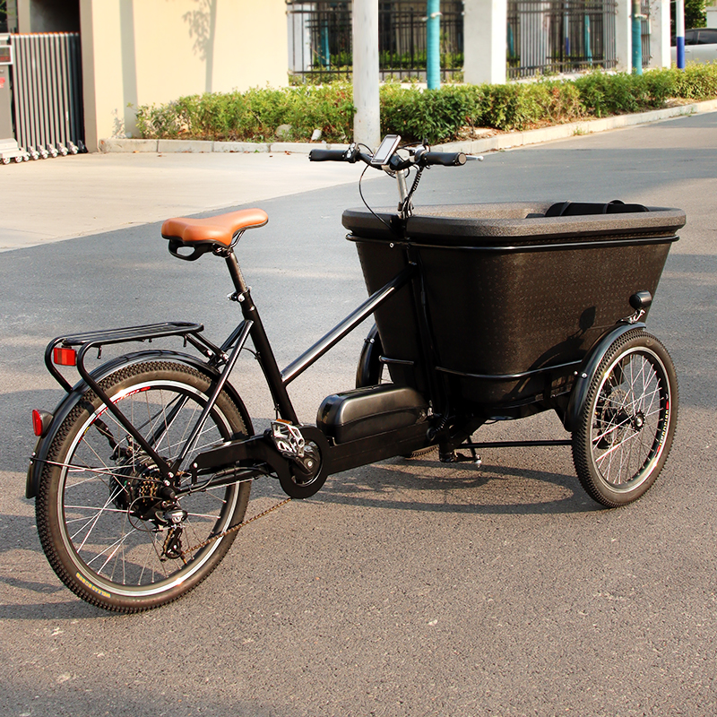 Electric Cargo Bike Real Shot 3