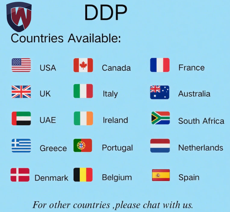 Professional 3PL Logistics Agent Multi Transport Shipping Door to Door DDP Service Cargo Tracking &amp; Warehousing Global Services