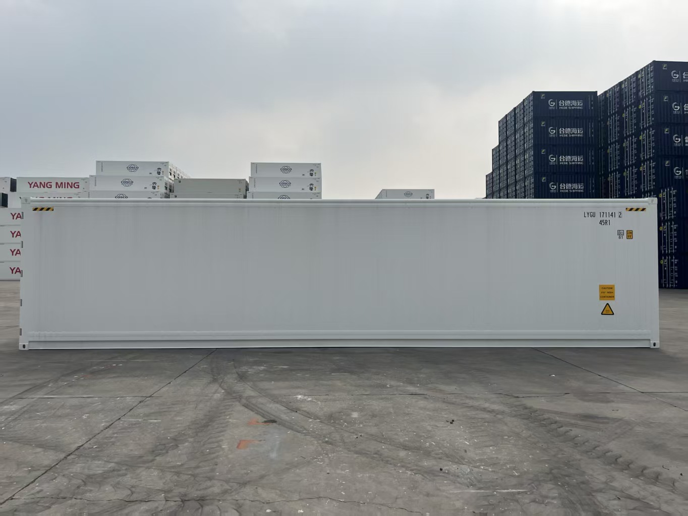 40RF Reefer /Refrigerated Container, Freezer/Freezer Reefer, DDP Door to Door Shipping Refrigerated Container