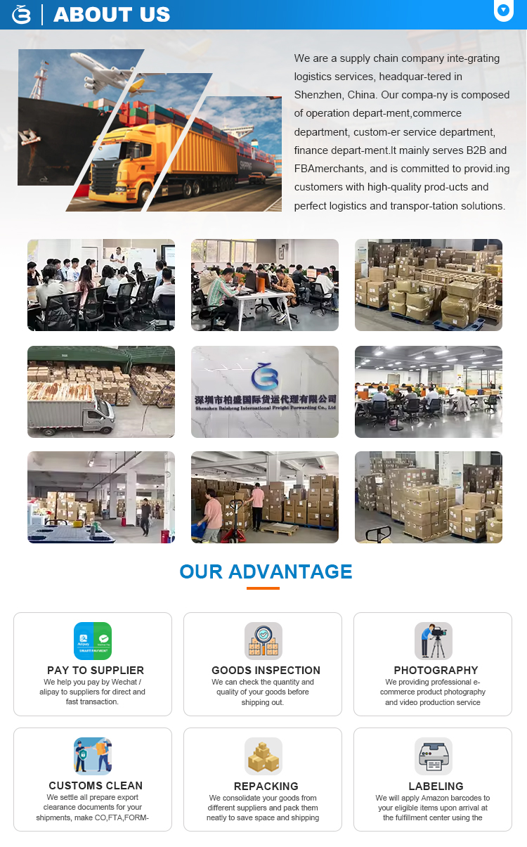 About Us Team