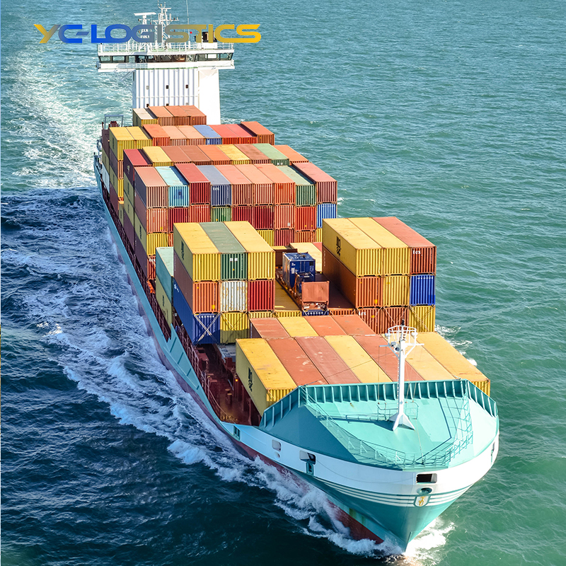 Cheap Sea Shipping Agent Cargo Freight Forwarder From China to USA/UK/UAE Door to Door Service
