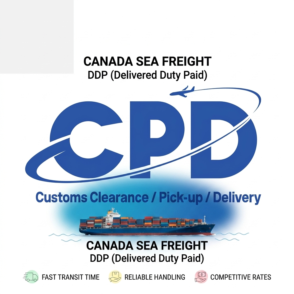 Less Than Container Load LCL Ocean Freight Forwarder Real Time Tracking