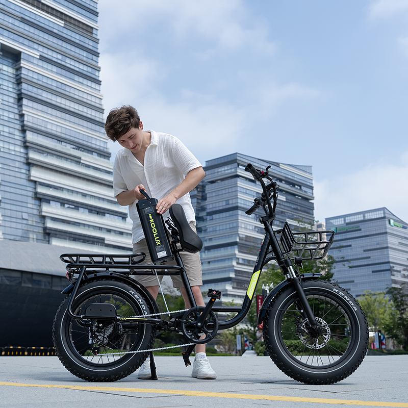 Last Mile Delivery Electric Cargo Bike 750W 48V25Ah Long Range 120km Rear Hub Motor Digital Display Cargo Rack for Unisex