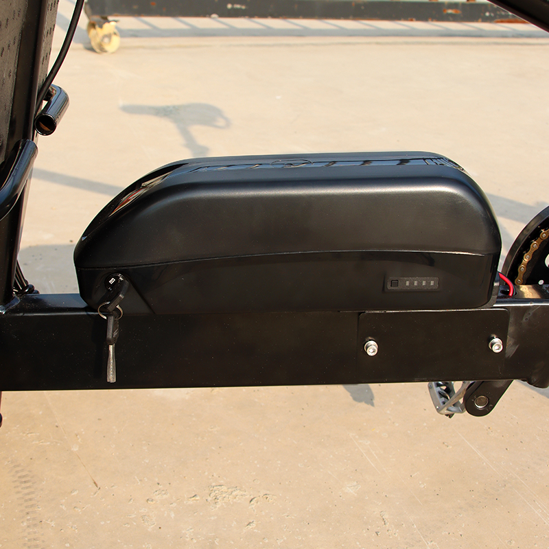 Electric Cargo Bike Real Shot 5