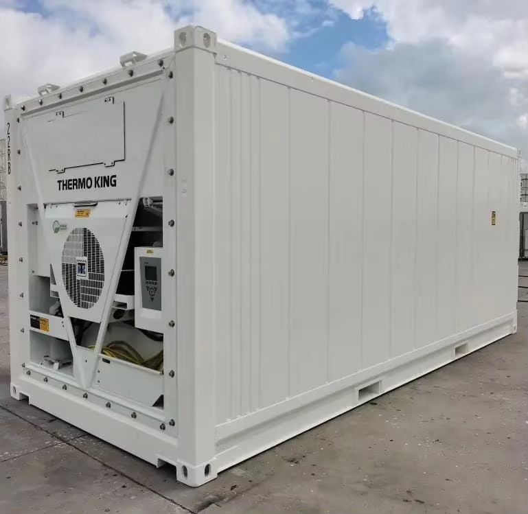 professional cold chain refrigerated container 20ft frozen transport constant temperature control