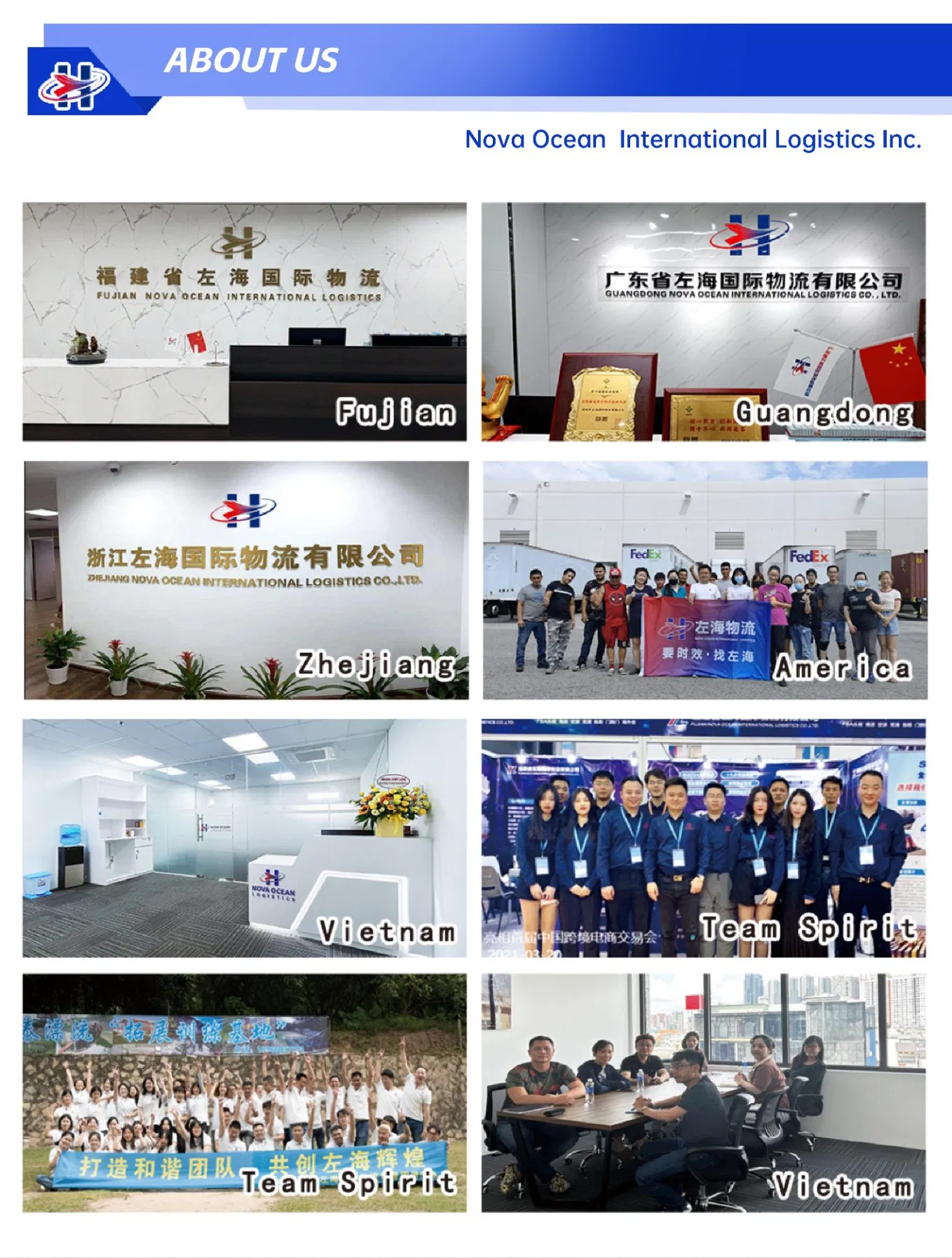 Secure Shipment DHL/UPS/FedEx Express Logistics From China to USA