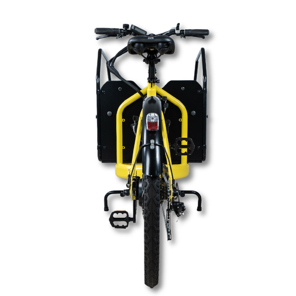 Electric Cargo Trike Detail View