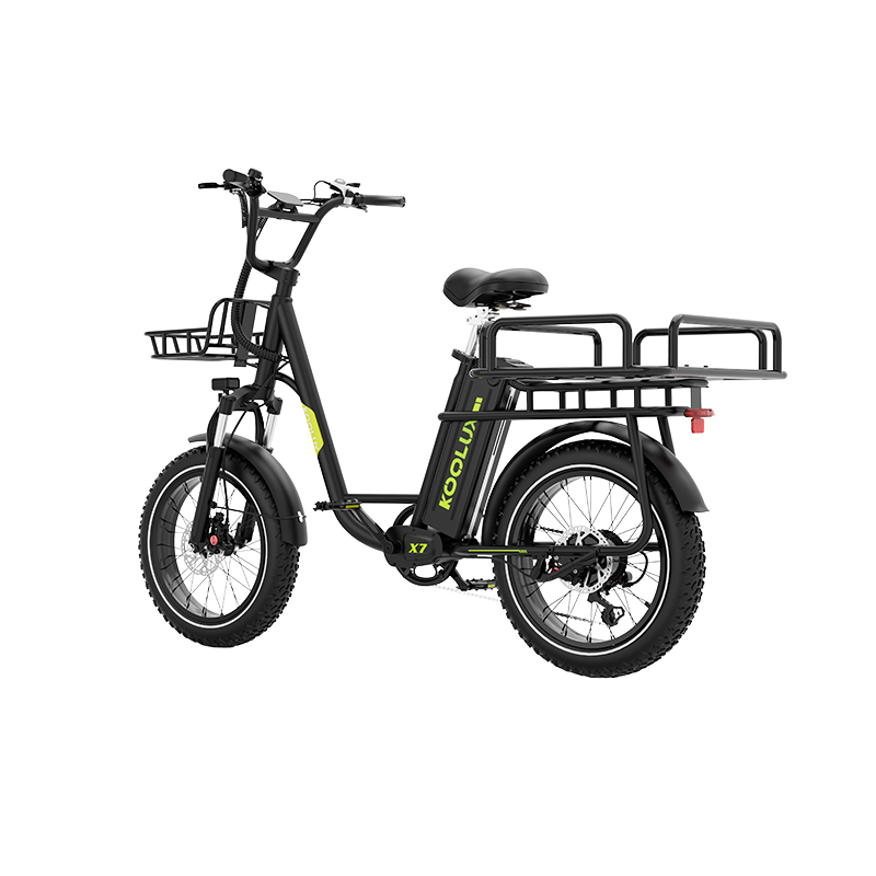 Last Mile Delivery Electric Cargo Bike 750W 48V25Ah Long Range 120km Rear Hub Motor Digital Display Cargo Rack for Unisex