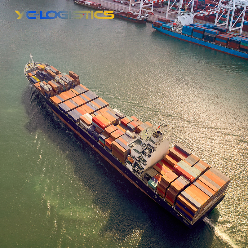 Door to Doors Shipping Agent From China to USA CA GB Europe Fast and Cheap Sea Freight Forwarder