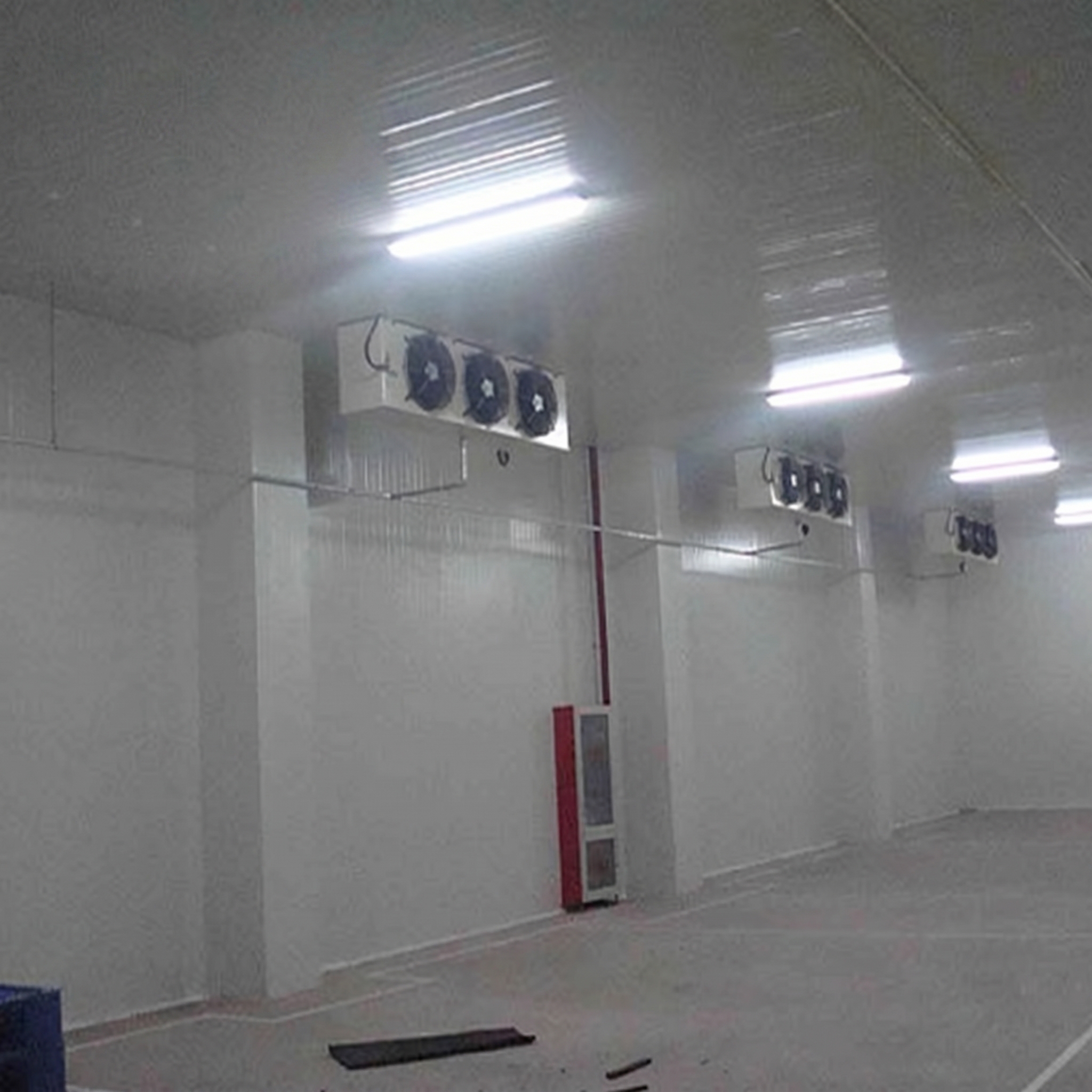 Logistics Steel Structure Cold Storage Space Utilization