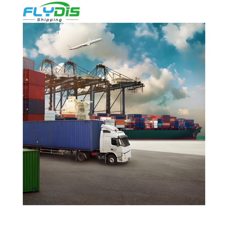 Low Cost Sea Freight From China to Singapore with LCL Less Container Load and Fast Handling Air Sea Freight Shipping Agent