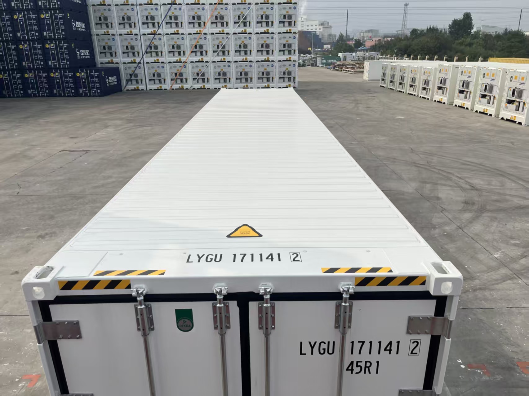 40RF Reefer /Refrigerated Container, Freezer/Freezer Reefer, DDP Door to Door Shipping Refrigerated Container