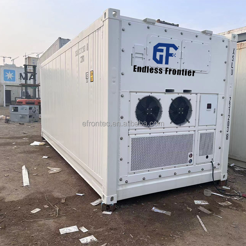 High-Capacity 40ft Refrigerated Shipping Reefer Container with Dual Fresh &amp; Frozen Zones for Multi-Commodity Across Continents