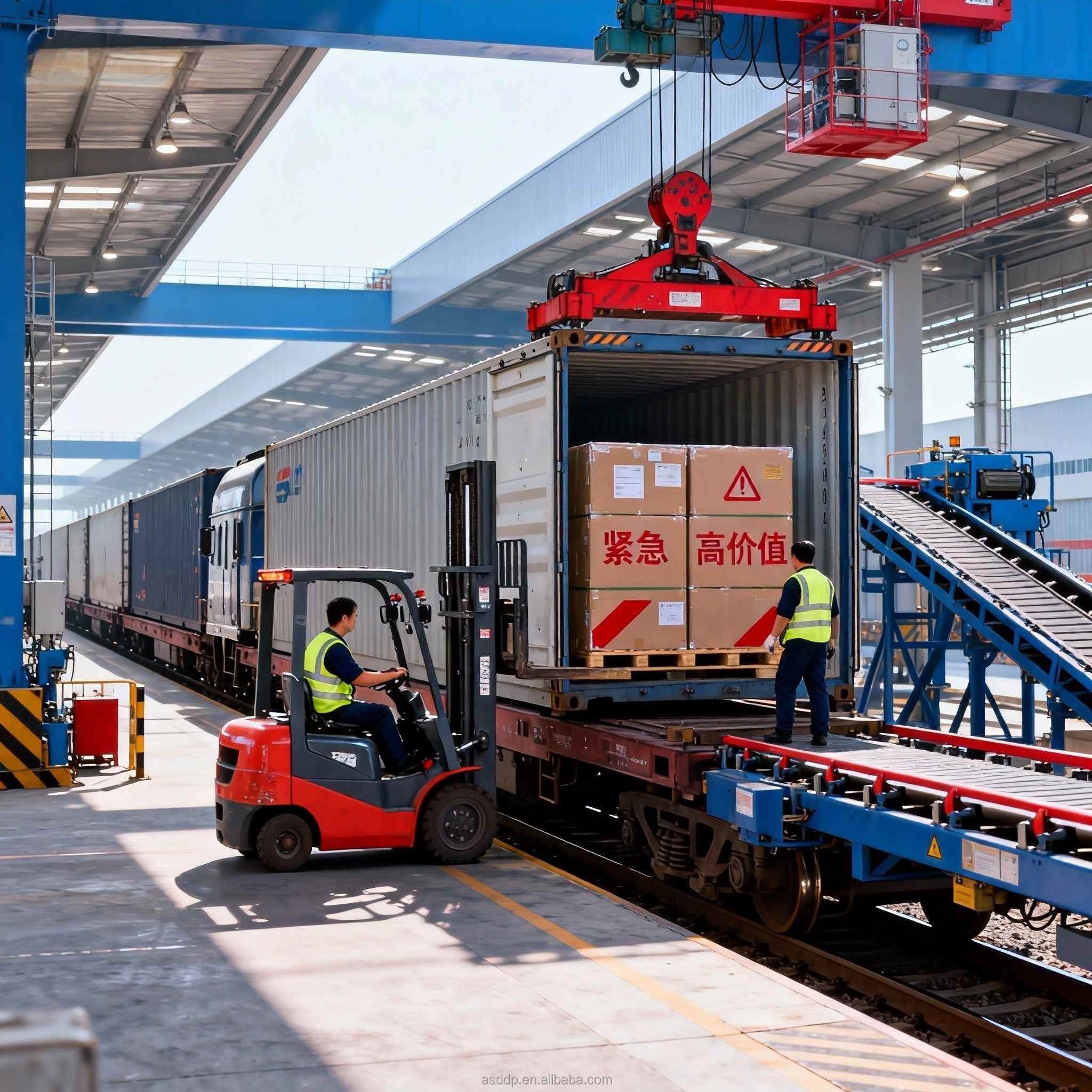 FCL LCL Sea Freight DDP DDU to Costa Rica, Full &amp; Less Container Load Service