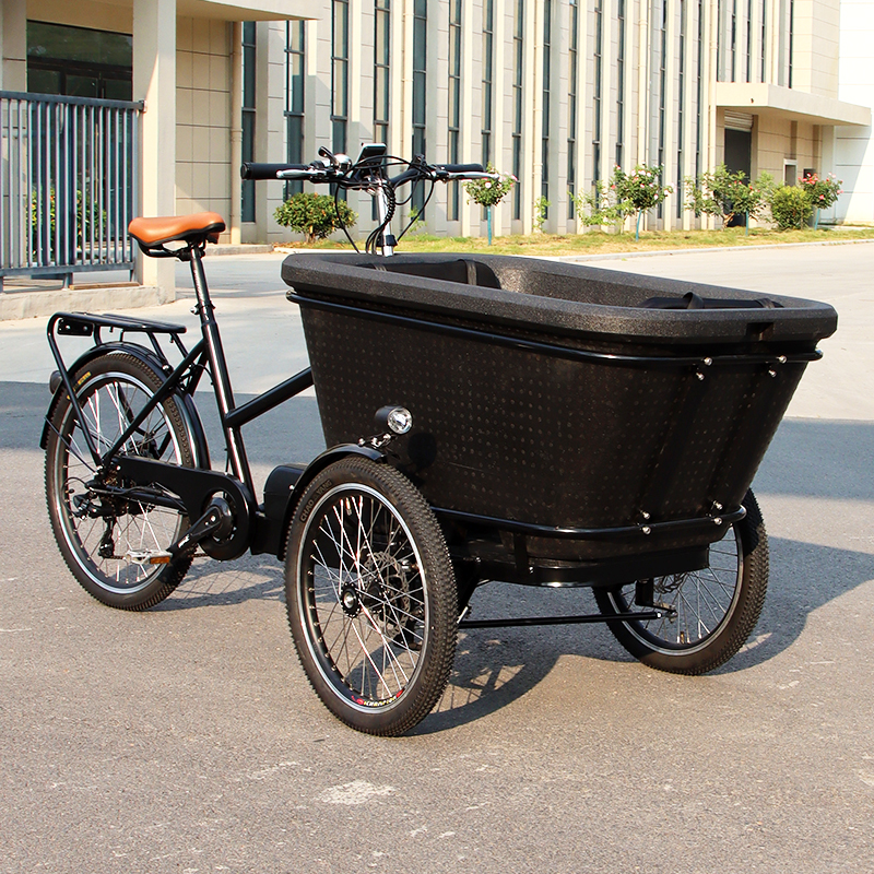 Electric Cargo Bike Real Shot 2