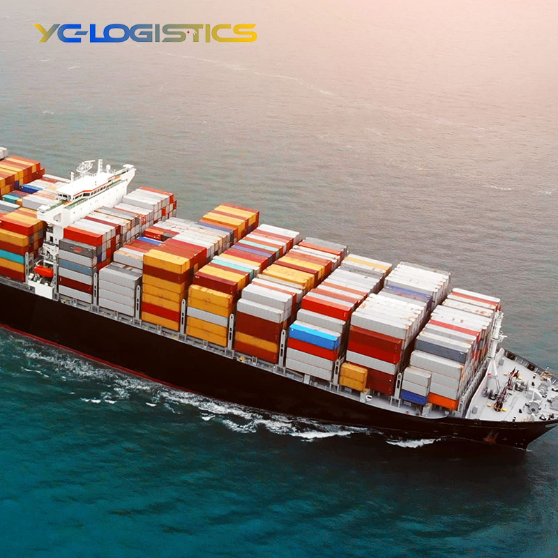 China To Sri Lanka Door To Door Shipping Agent Ddp Sea Shipping Agent Belgium Sea Freight China To Europa USA Sea Freight