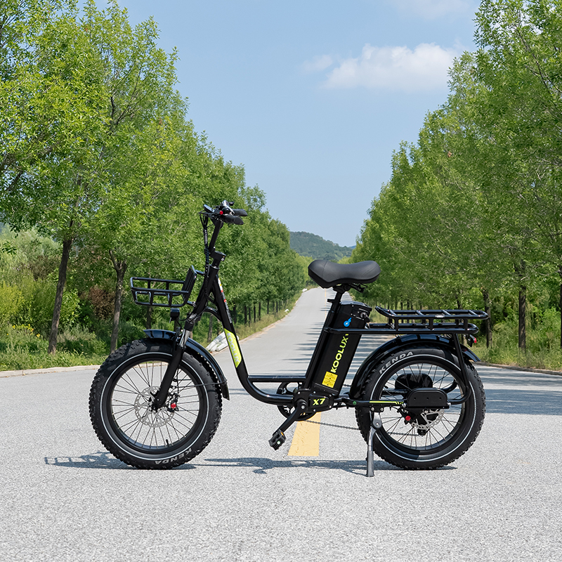 Last Mile Delivery Electric Cargo Bike 750W 48V25Ah Long Range 120km Rear Hub Motor Digital Display Cargo Rack for Unisex
