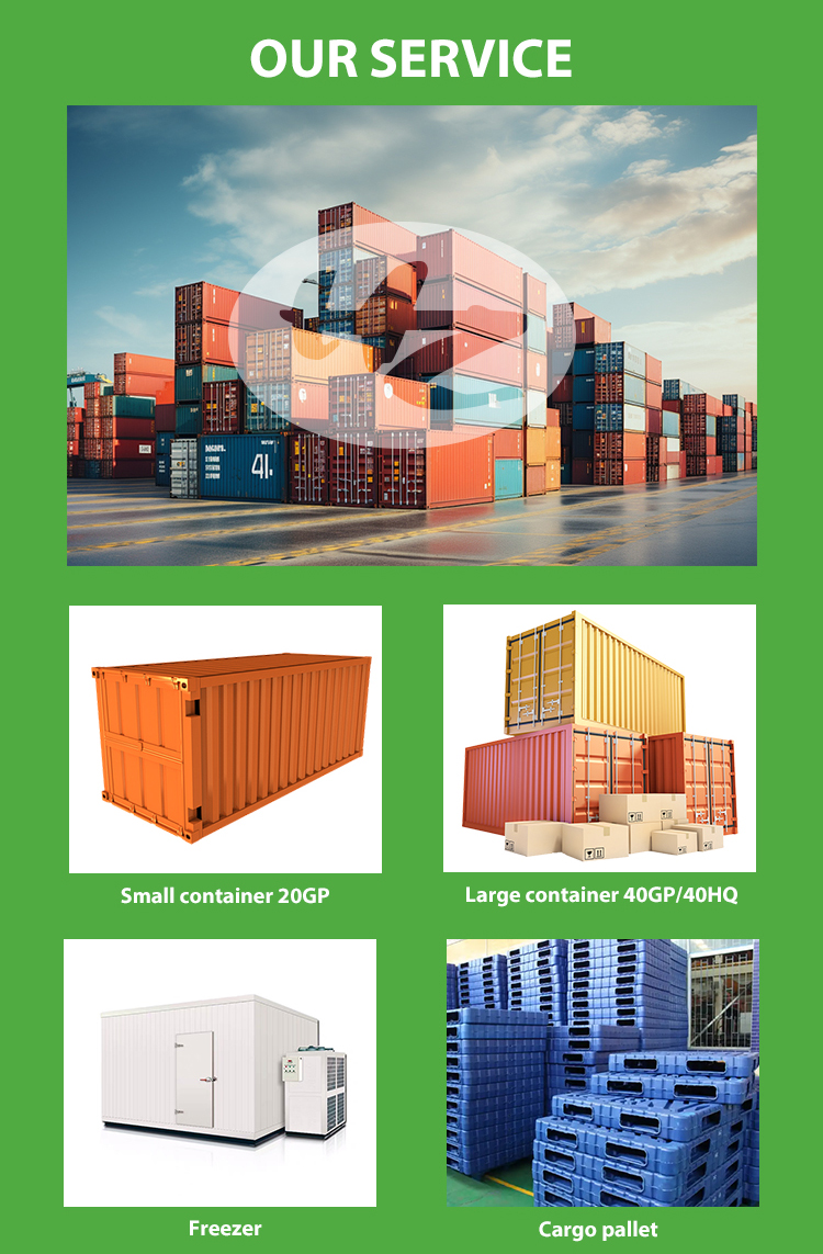 Qingdao Shanghai 20GP 45HQ New Container Reefer Container Food Temperature Regulation Cheap Price