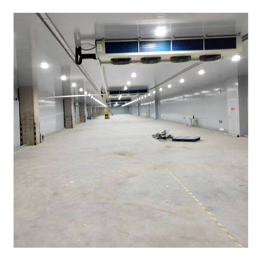 Eco-Friendly Copeland Multi-Temp Commercial Reefer Container, Precise Temp Regulation for Global Cold Chain Logistics Transport