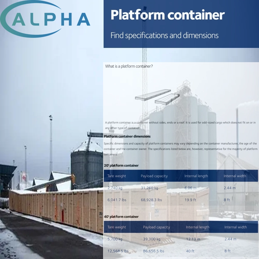Professional Project Cargo Freight Forwarder for Oversized Dangerous Goods Air Sea Shipping to USA