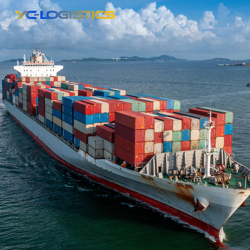 China To Sri Lanka Door To Door Shipping Agent Ddp Sea Shipping Agent Belgium Sea Freight China To Europa USA Sea Freight