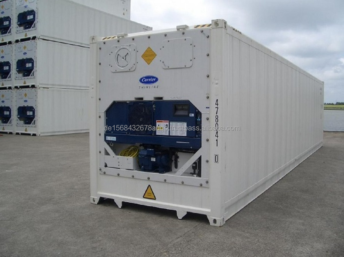 40ft Corten Steel Thermo King Reefer Container 67cbm Capacity for Food Storage Temperature Controlled CSC &amp; ISO9001 Certified