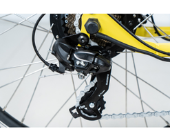 Trike Front Tire Details