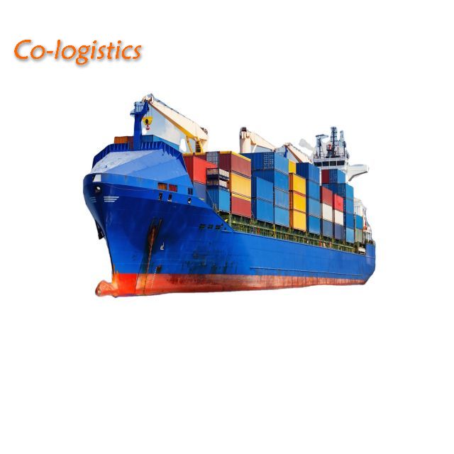 Full Container FCL Sea Freight Forwarder Shipping Service to Spain From China
